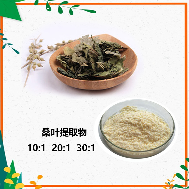 桑叶黄酮 10% 桑叶提取物 10:1 桑叶粉 桑叶DNJ 1%