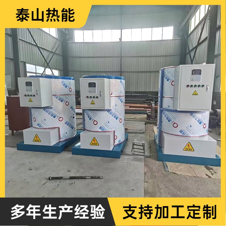 电热水锅炉占地面积小 电加热蒸汽发生器 酿酒洗浴广泛应用