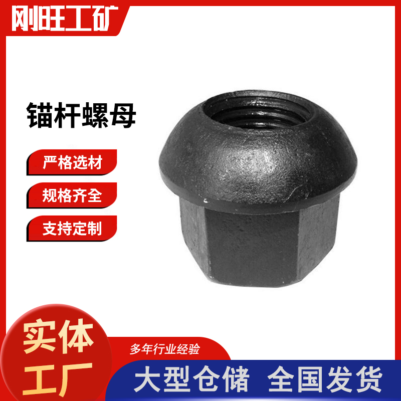 锚杆螺母 (8)