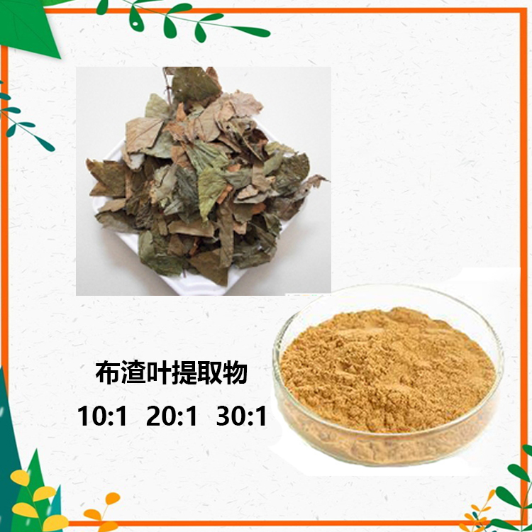 布渣叶提取物 10：1水提 布渣叶黄酮 布渣叶粉 98%