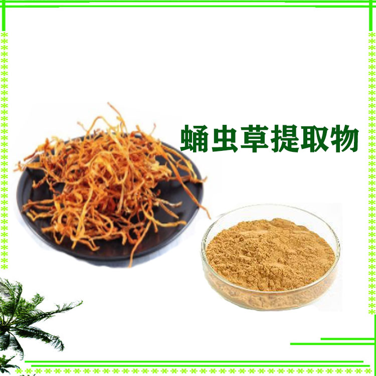 蛹虫草粉 提取物 蛹虫草多糖 萃取粉 沃特莱斯生物可寄样