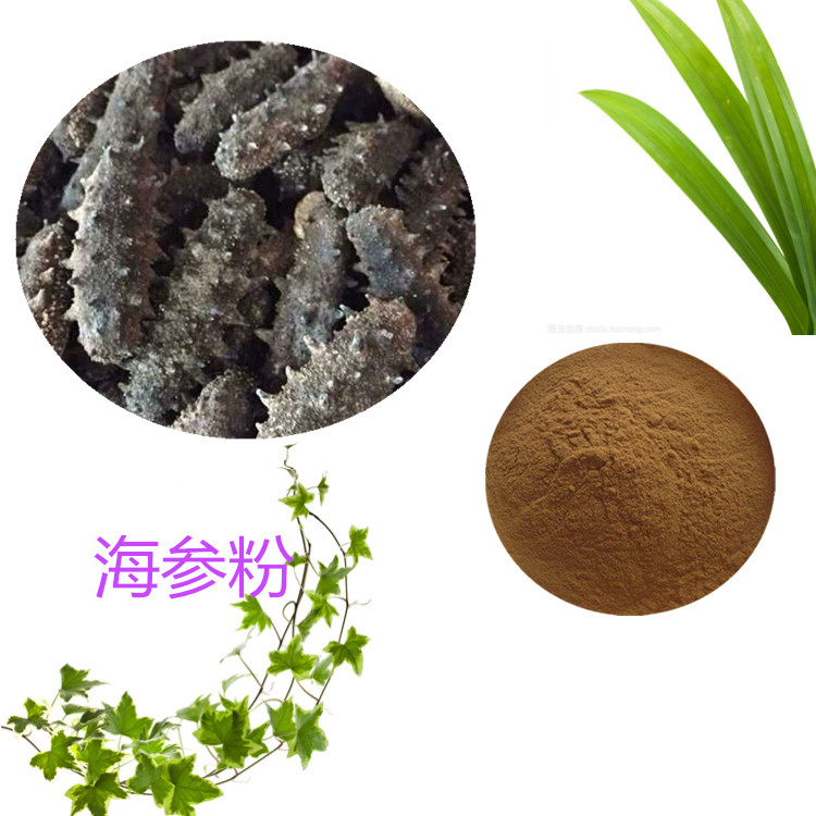 海参粉 98% 海参提取物 10:1 水提 海参多肽