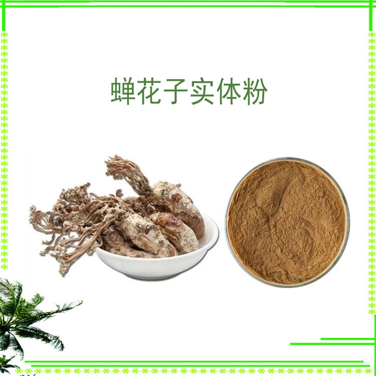 蝉花子实体粉 提取物 蝉花多糖