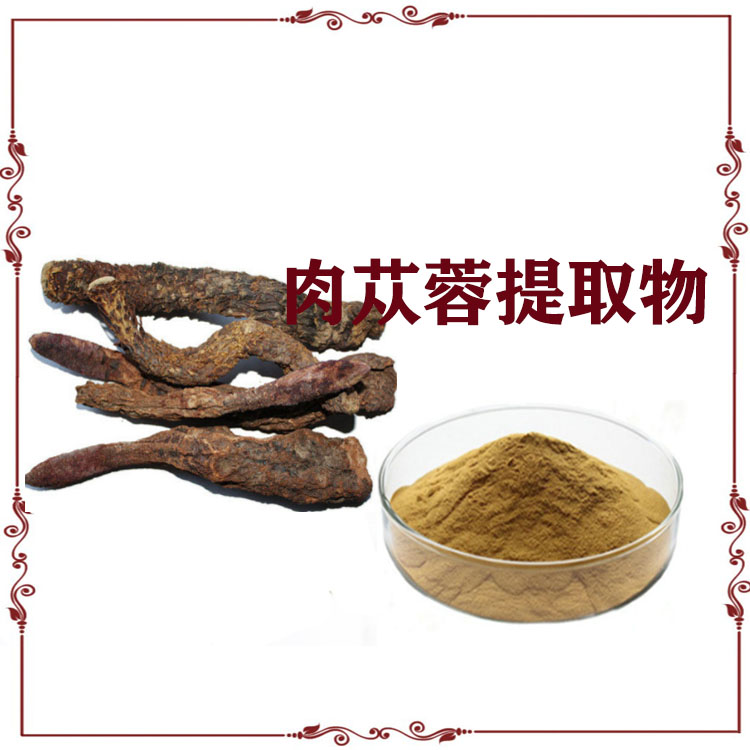 肉苁蓉提取物 原粉 肉苁蓉多糖 各种规格 支持拿样