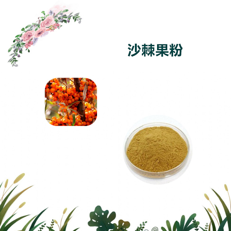 沃特莱斯生物 沙棘提取物 萃取粉 水溶性粉末 1公斤起订