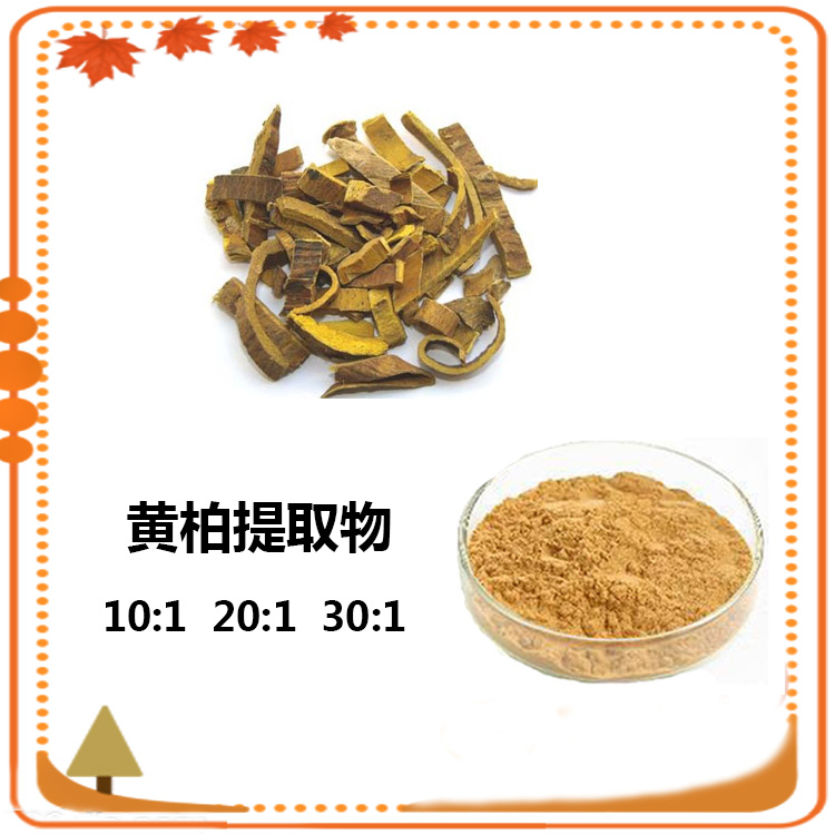 黄柏提取物 10:1 水提 多规格 沃特莱斯生物 黄柏粉