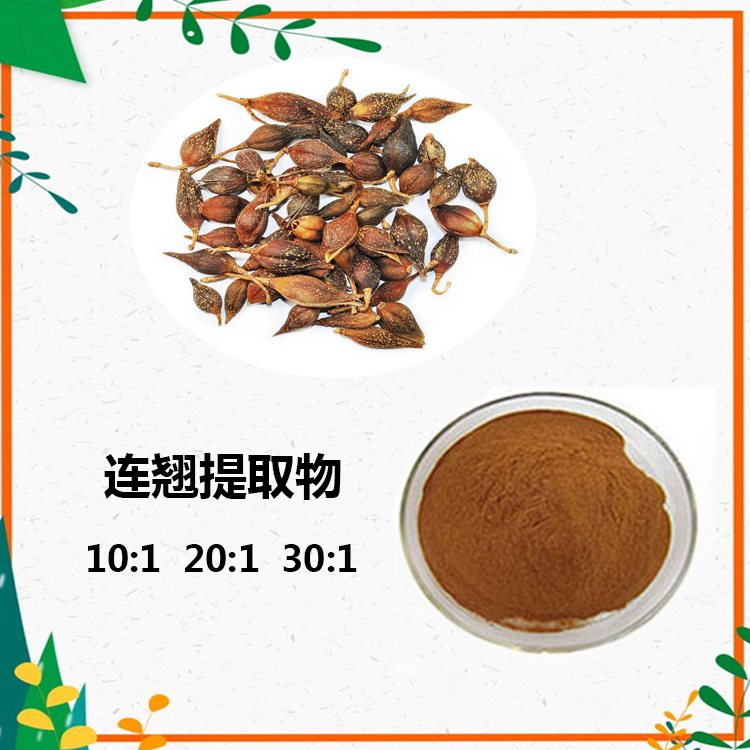 连翘提取物 10:1 水提 沃特莱斯生物 连翘浸膏 连翘苷