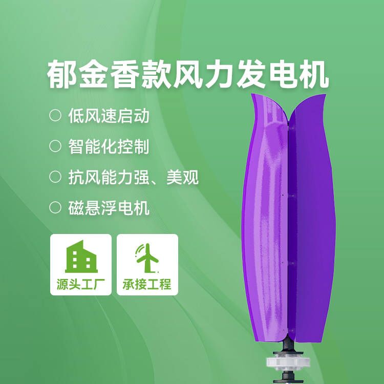 郁金香款风力发电机