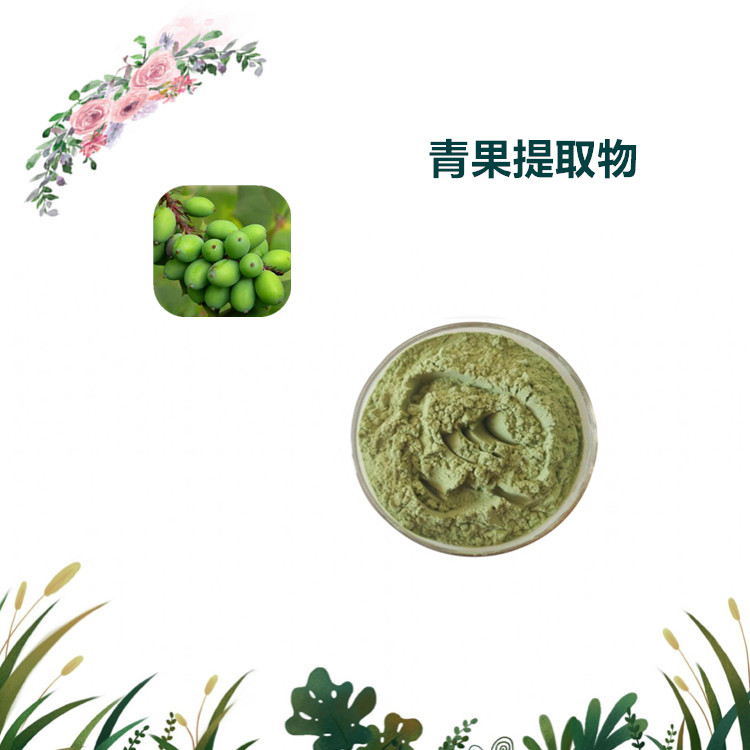 沃特莱斯生物 青果提取物 青果速溶粉 喷雾干燥粉 1公斤起订