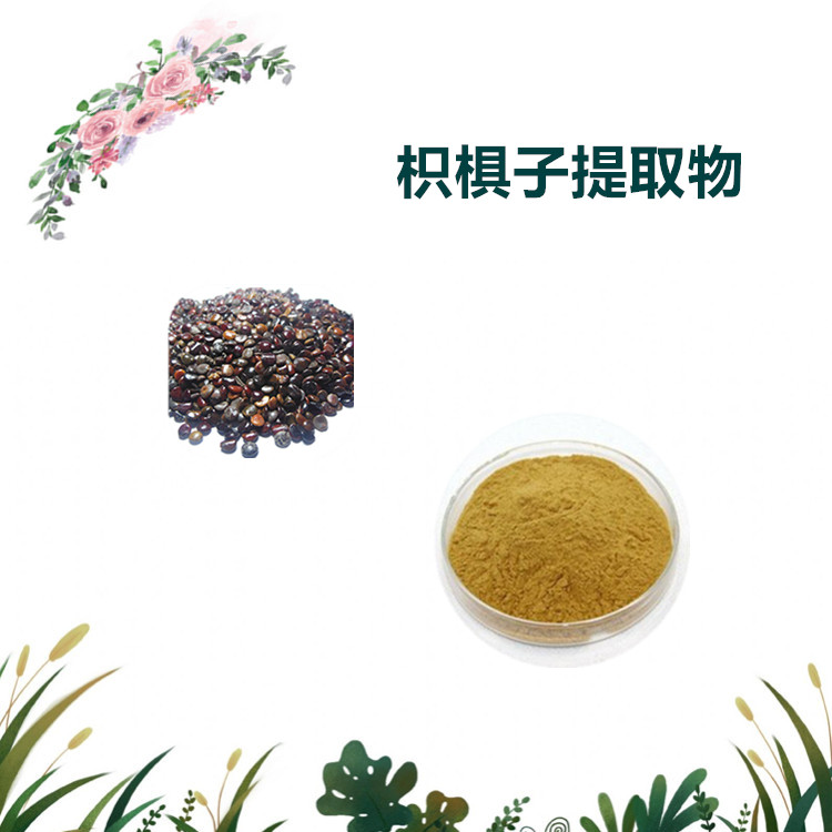 沃特莱斯生物 枳子提取物 枳子浸膏粉 水溶性粉末 1公斤起订