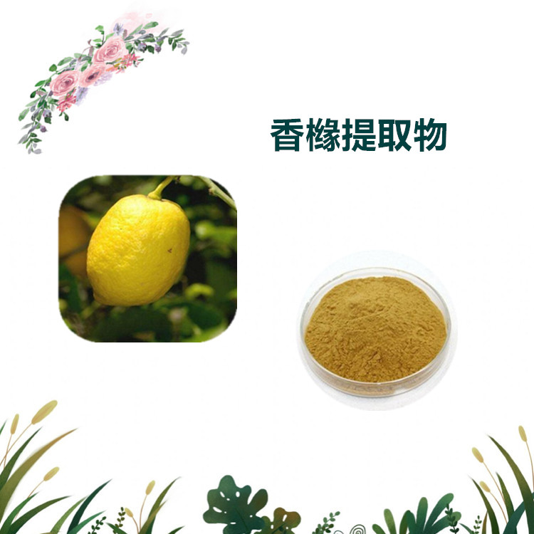 沃特莱斯生物 香橼提取物 速溶粉 萃取粉 厂家直供 量大从优