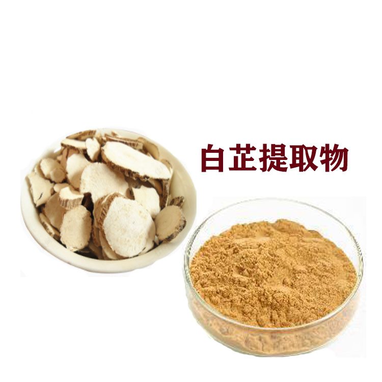 白芷提取物 白芷多糖 萃取粉 喷雾干燥粉 多种规格 可寄样