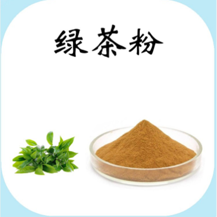 绿茶粉 120目细度 绿茶提取物 10:1 茶多酚 茶氨酸