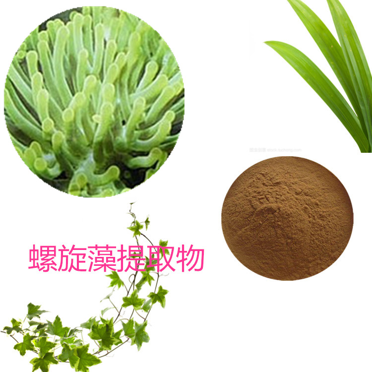 螺旋藻提取物 10:1 水提 螺旋藻多糖 30% 螺旋藻粉