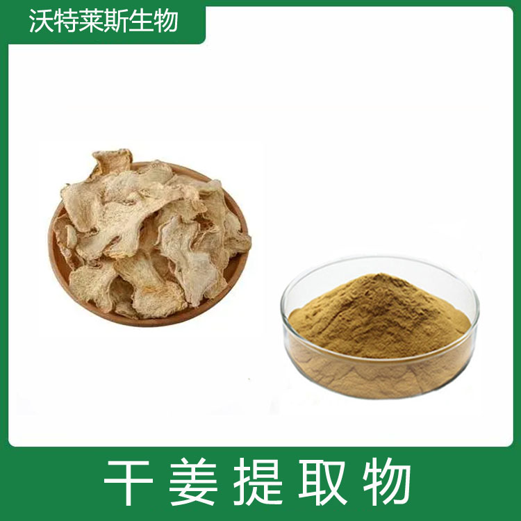 干姜粉 提取物 姜辣素 速溶粉 多种规格 可定制