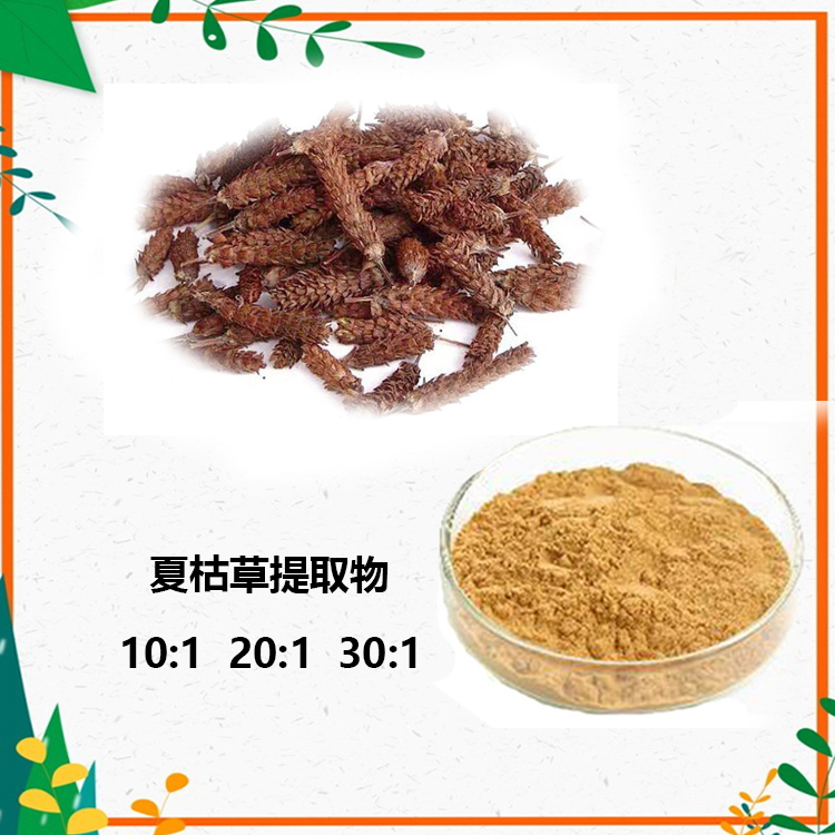 夏枯草提取物 10:1 水提 多规格比例 夏枯草粉 浸膏粉