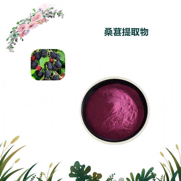 沃特莱斯生物 桑葚粉 桑椹提取物 水溶性很好 多规格可定制