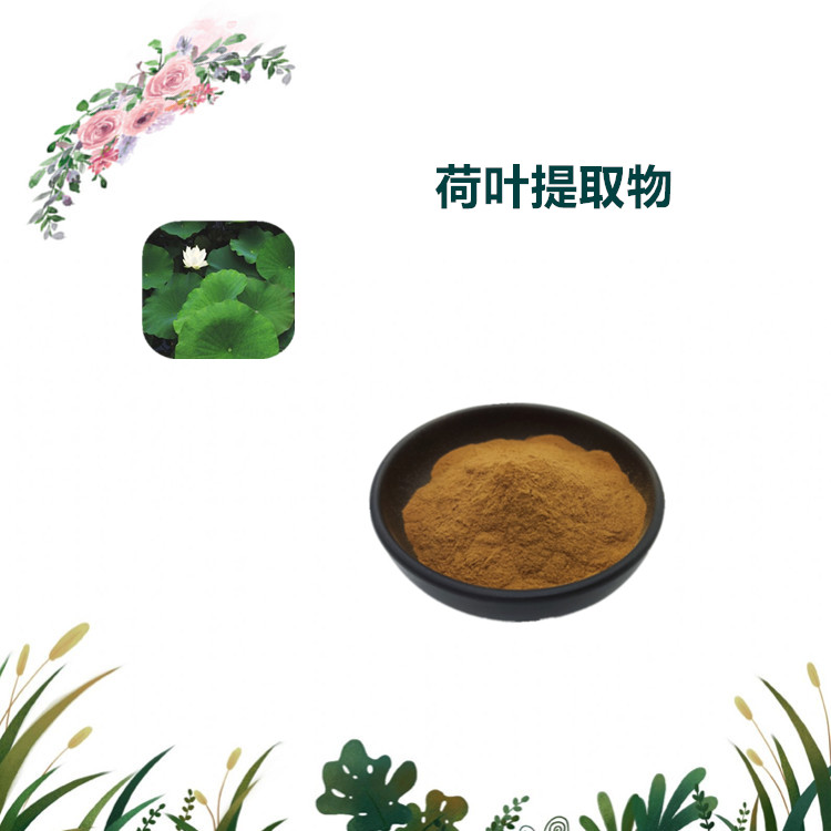 沃特莱斯生物 荷叶提取物 水溶性粉末 喷雾干燥粉 1公斤起订