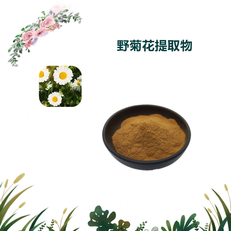 沃特莱斯生物 菊花提取物 萃取粉 喷雾干燥粉 全水溶 1公斤起订