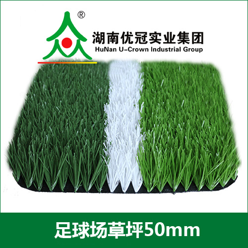 乐冠牌塑胶跑道源头生产厂家 大型实体工厂价更低  人造草坪厂家直销