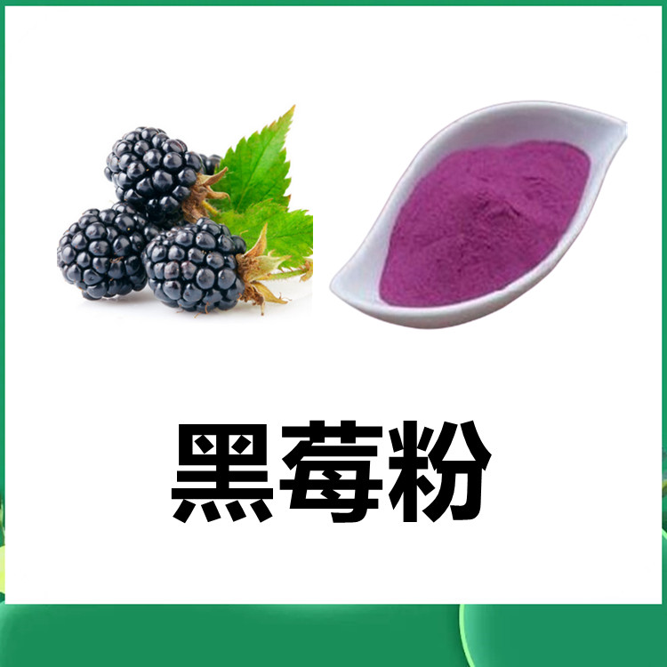 黑莓粉   质量稳定 粉末细腻 水溶性食品原料 六盘韵生物