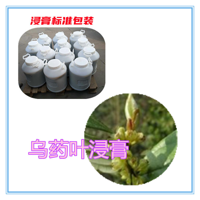 乌药叶提取物 10:1 水提 乌药叶粉 乌药叶浸膏 1.13