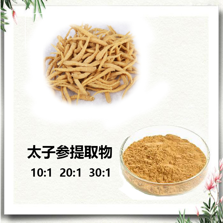 太子参提取物 10:1 水提 太子参皂苷 80% 太子参粉