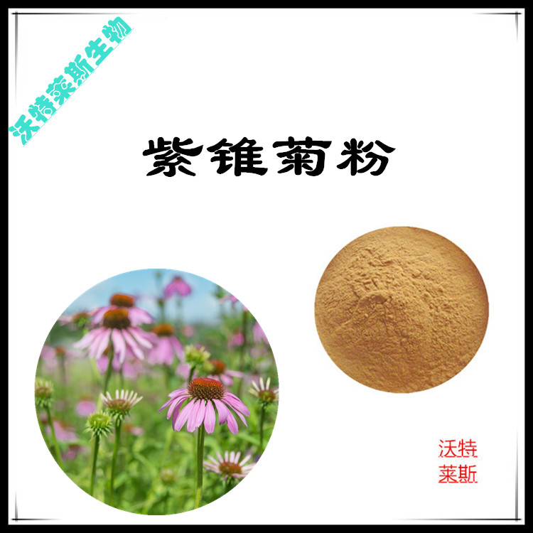 紫锥菊提取物 10:1 水提 紫锥菊多酚 紫锥菊水溶粉