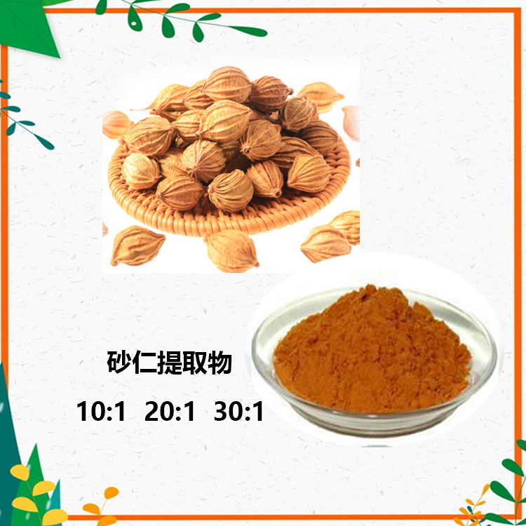 砂仁提取物 10:1 水提 砂仁多糖 30%砂仁粉 98%