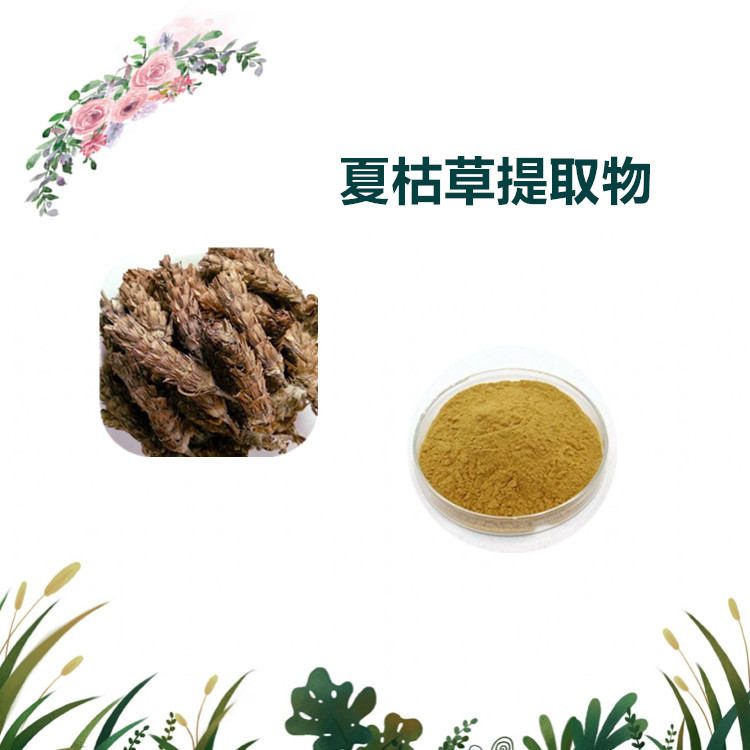 沃特莱斯生物 夏枯草提取物 萃取粉 喷雾干燥粉 多规格订制