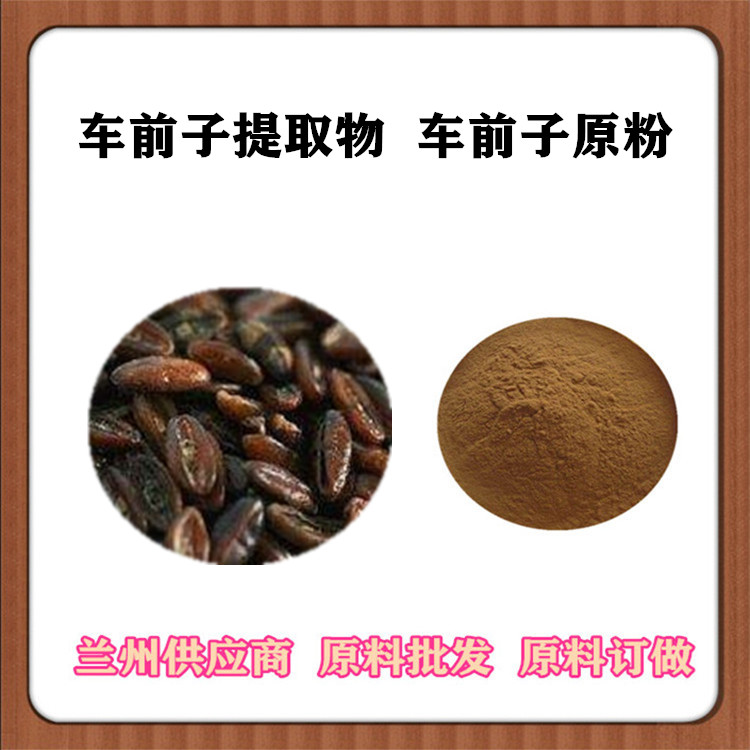 车前子提取物10:1 20:1 车前子原粉 浸膏粉 沃特莱斯订做提取液 全水溶速溶粉