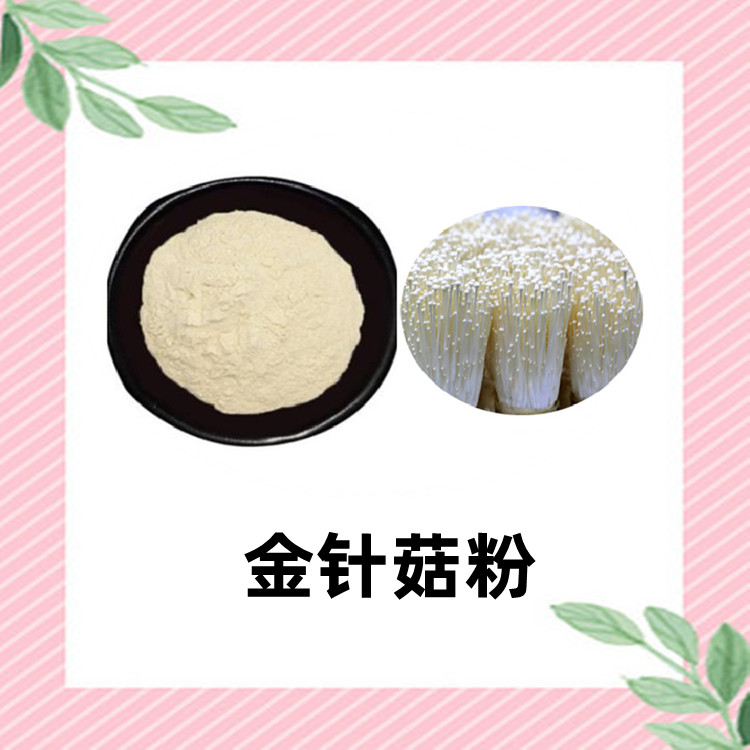 金针菇粉  六盘韵生物 果蔬粉  质量稳定 粉末细腻疏松 95%纯度