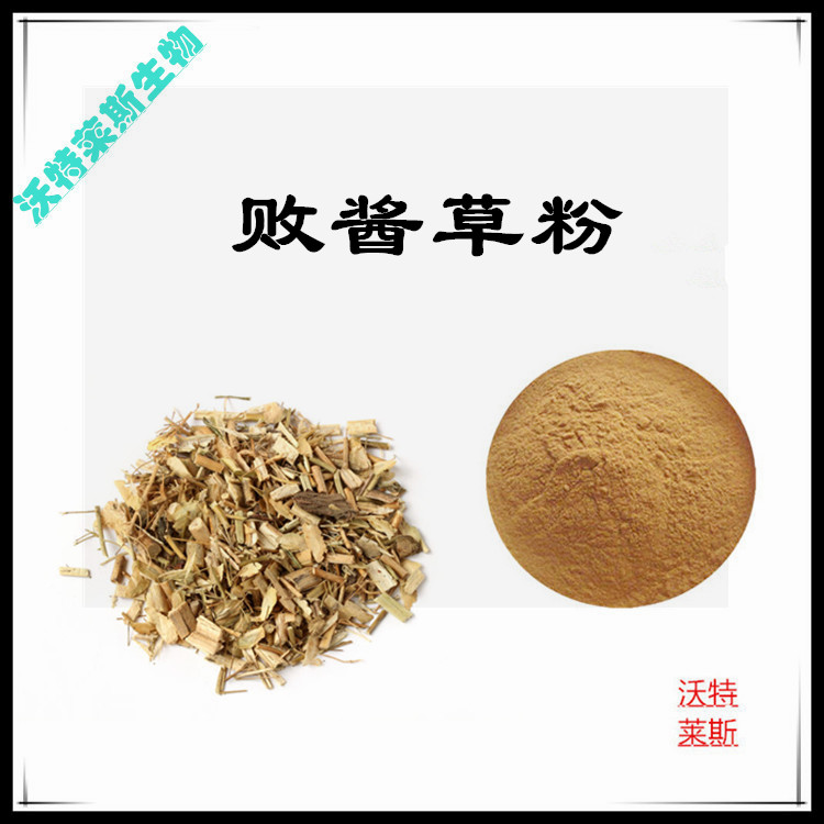 败酱草提取物 10:1 水提 败酱草粉 败酱草浓缩粉