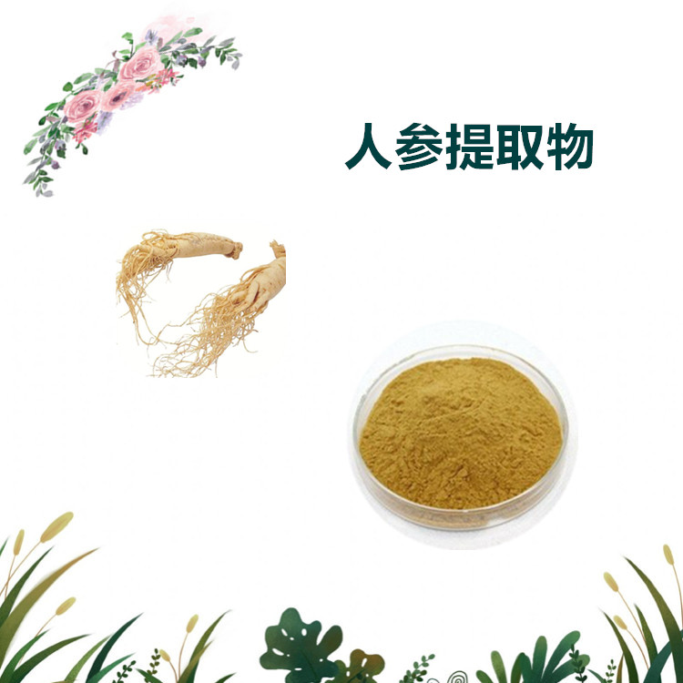 沃特莱斯生物 人参提取物 人参皂甙 人参人 多规格可定制