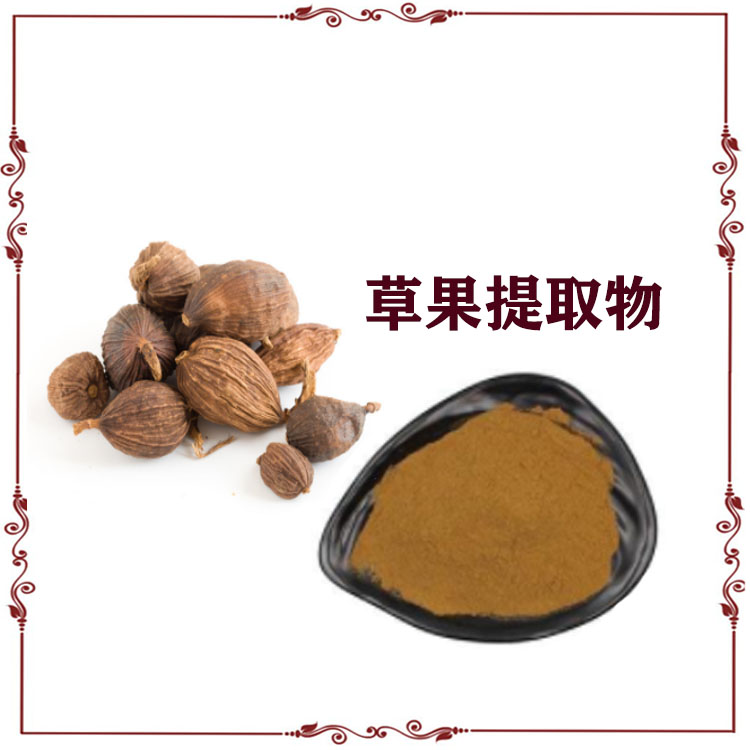 草果提取物 速溶粉 萃取粉 浸膏粉 各种规格 可定制