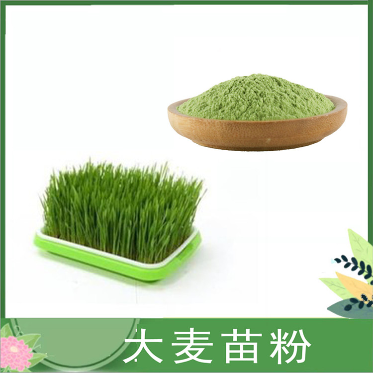 大麦苗提取物 30:1/50:1比例大麦若叶萃取 大麦苗浓缩粉 全水溶大麦苗粉 喷雾干燥