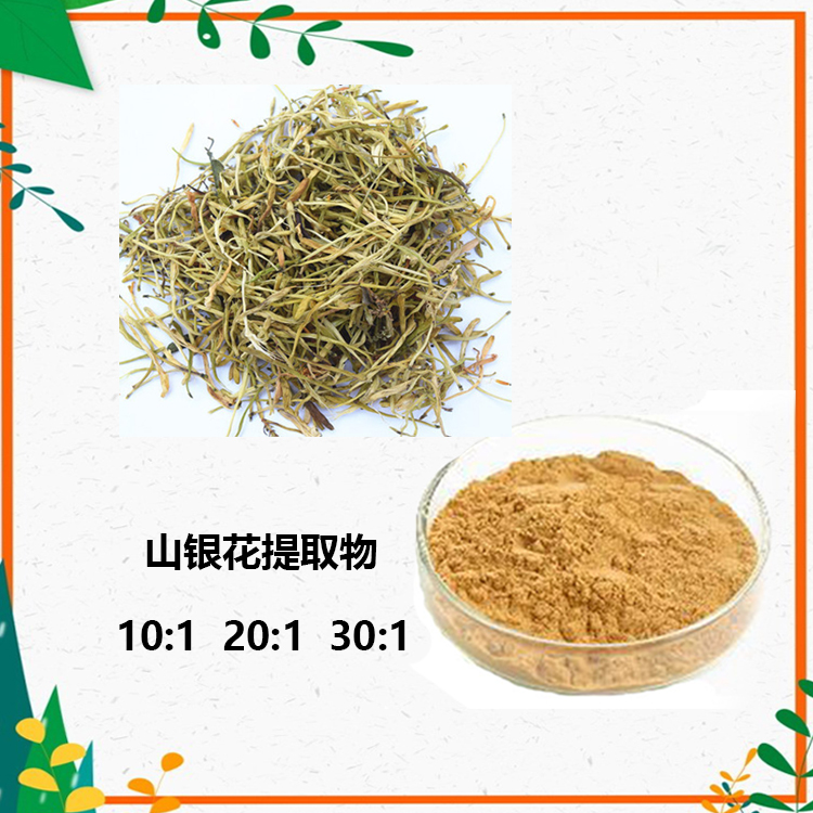 山银花提取物 10:1 水提 山银花粉 山银花黄酮 20%