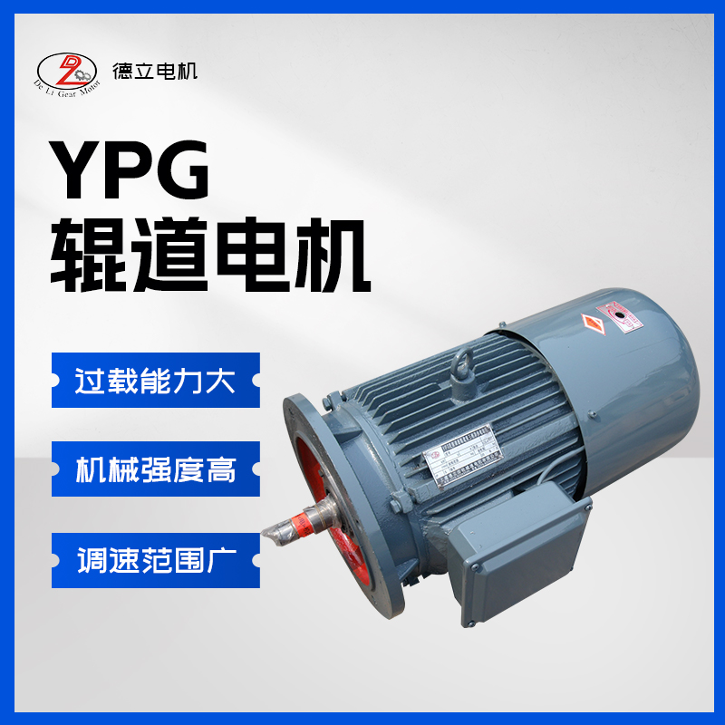 YPG变频辊道电机 (20)