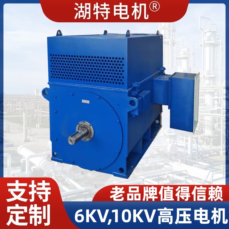 3000V、60000V、100000V高压三相异步电动机