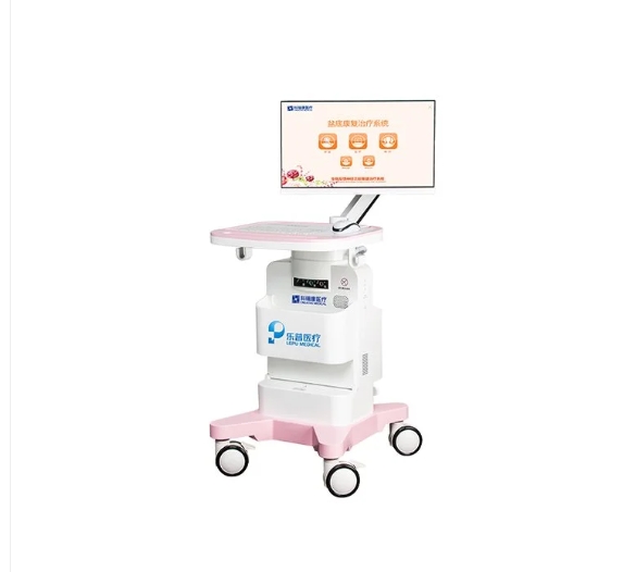 盆底康复 产后康复治疗仪 肢体运动功能障碍仪 乐普AM2000B(8+1通道)