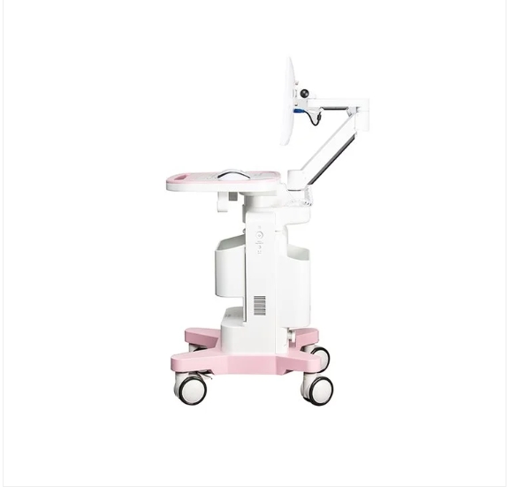 乐普AM2000B产后康复治疗仪 8+1通道 生物反馈治疗仪