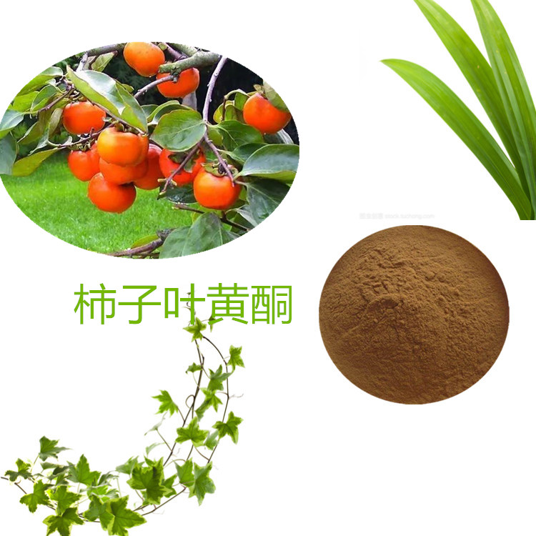 柿子叶黄酮 20% 40%  柿子叶提取物 10:1 水提 柿子叶粉