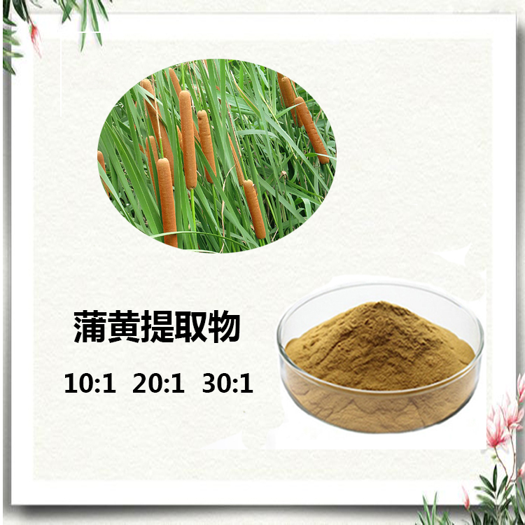 蒲黄提取物 10:1 水提 多规格比例 蒲黄多糖 30% 蒲黄粉