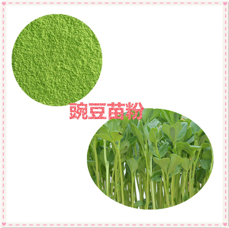 豌豆苗提取物 10:1 水提 多规格比例 豌豆苗粉 豌豆苗浸膏粉