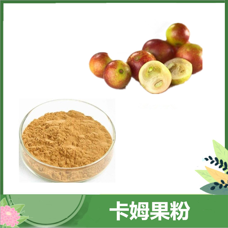 卡姆果粉 水溶性卡姆果汁粉 喷雾干燥粉 代餐固体饮料硬糖原料 订做浓缩汁