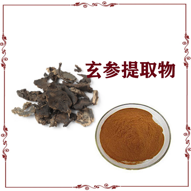 玄参提取物 浸膏粉 萃取粉 120目精细粉末 水溶性好