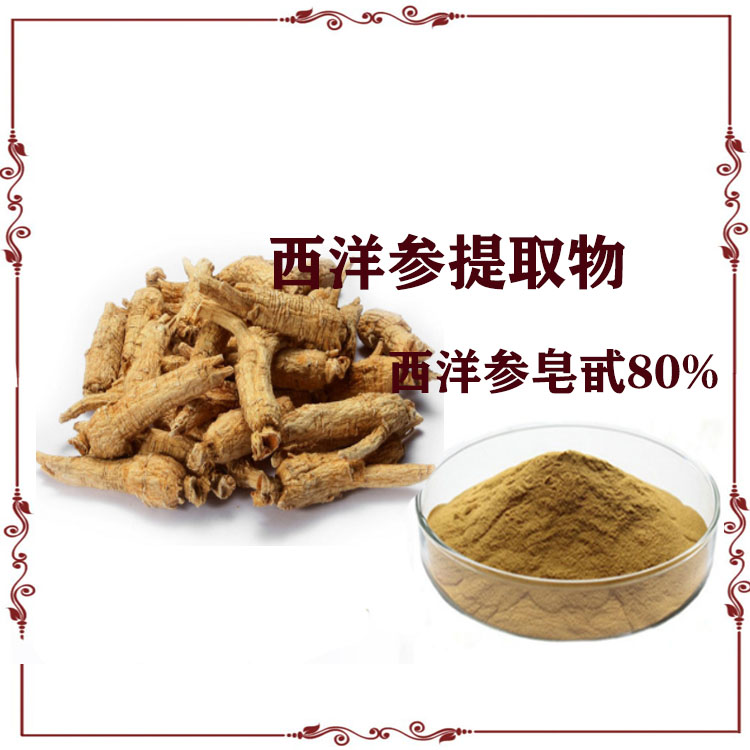 西洋参提取物 西洋参皂甙 速溶粉 浸膏 多种规格 可定制