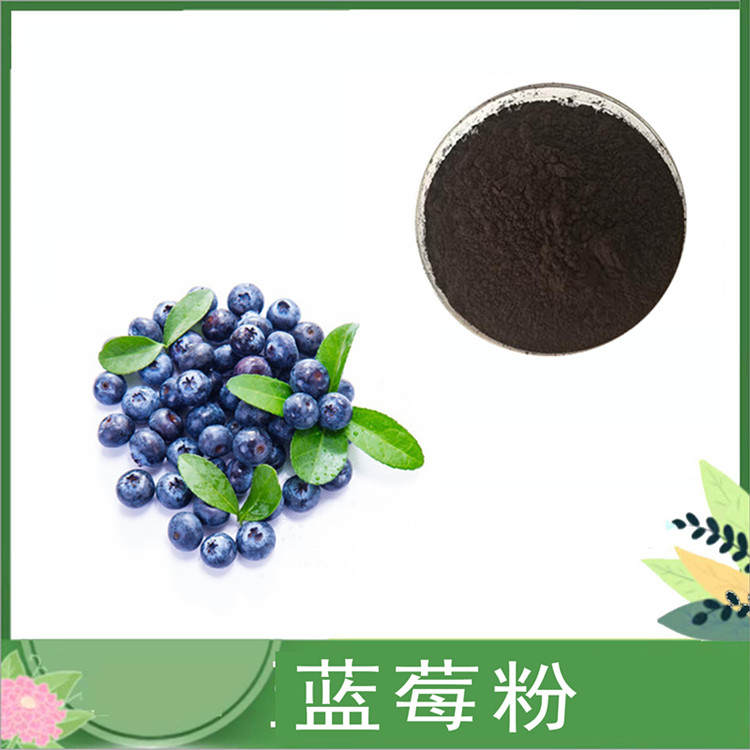 蓝莓粉 固体饮料蓝莓汁粉 可水溶代餐烘焙酵素原料果蔬粉 花青素25%