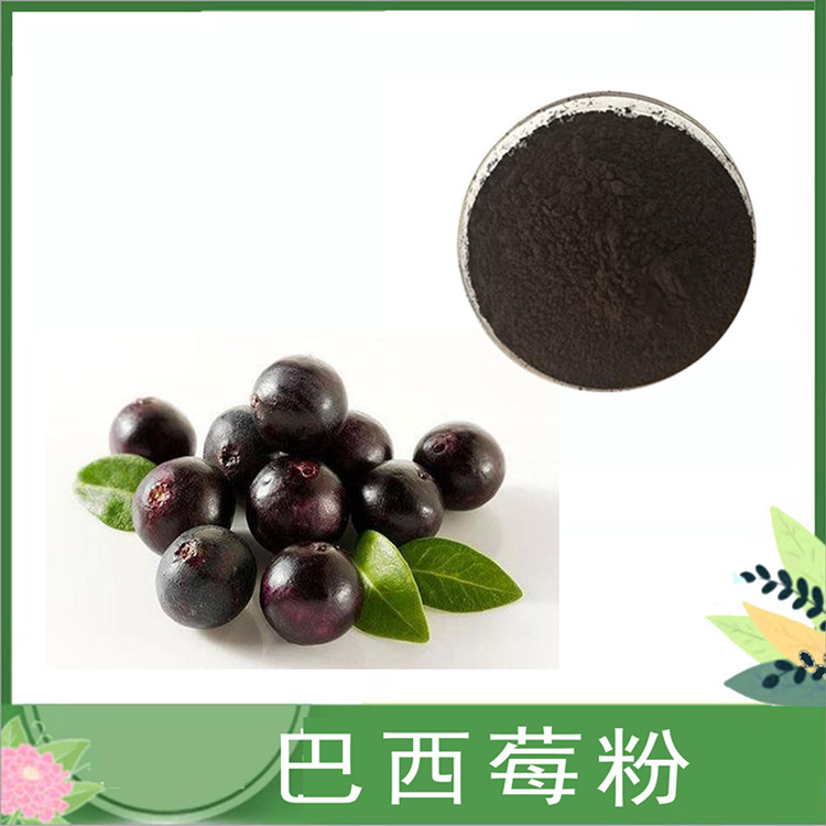 巴西莓粉 水溶性阿萨伊果汁粉 巴西莓速溶粉 喷雾干燥水果粉 现货