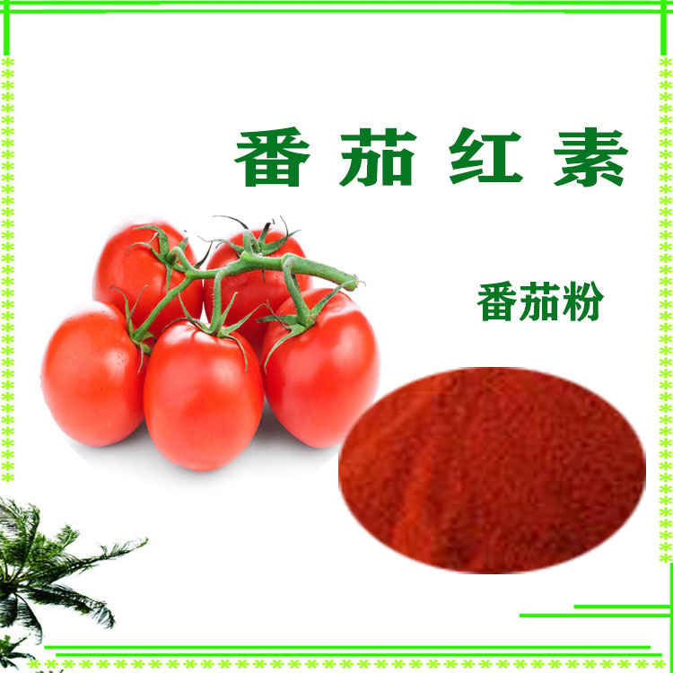番茄提取物 速溶粉 小番茄粉 喷雾干燥粉